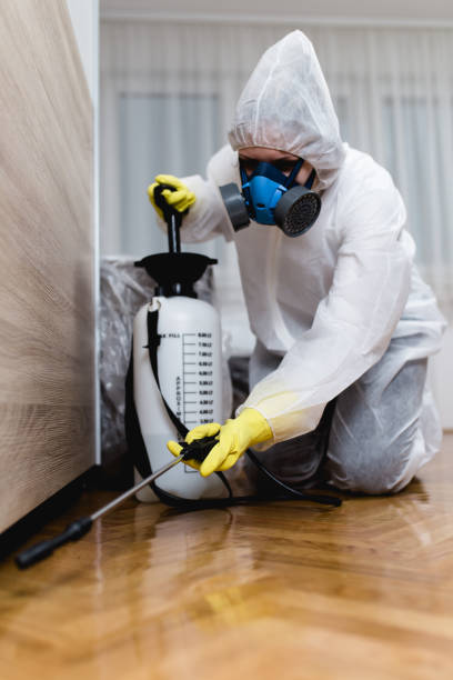 Professional Pest Control in La Selva Beach, CA